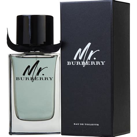 mr burberry eau de toilette review|burberry classic eau de toilette.